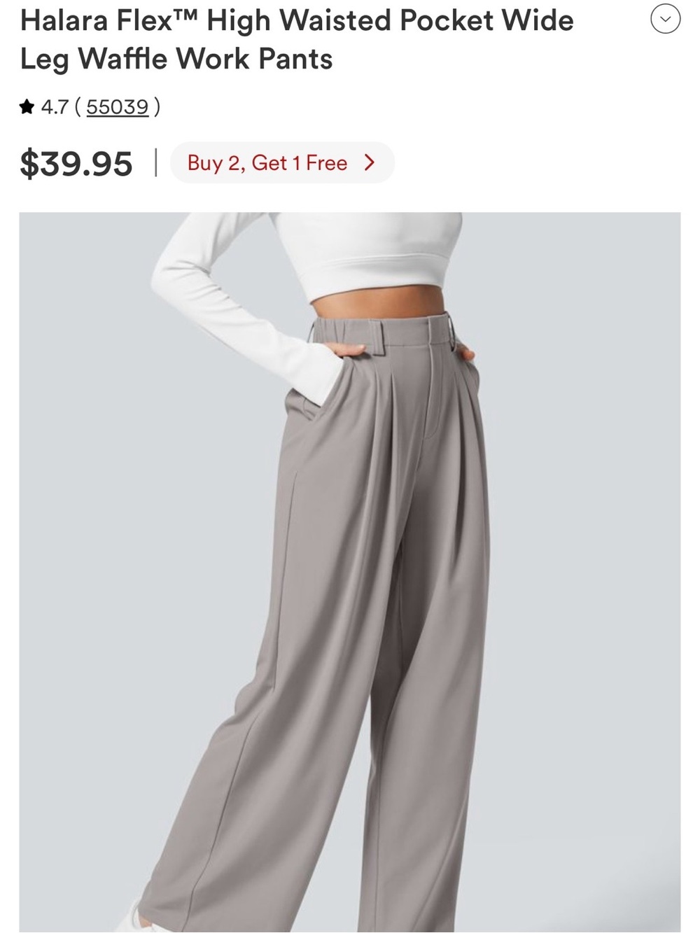 HALARA Wide Leg High-Waisted Pants in Light Gray